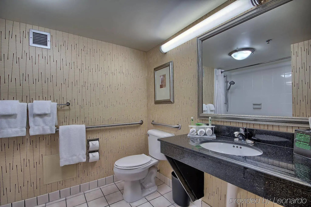 Holiday Inn Express Charleston-Civic Center by IHG