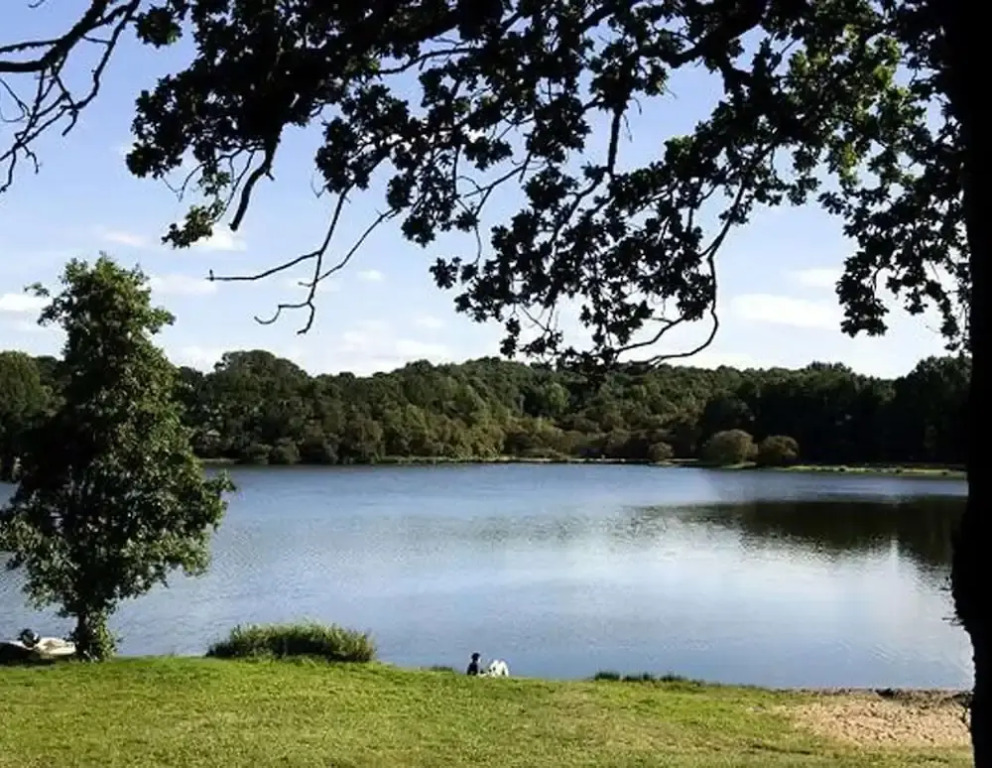 Modernly Furnished Cottage With Beautiful Terrace by a Lake
