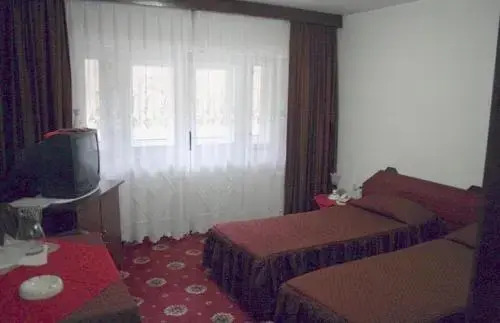 Pensiunea Tranzit Sinaia