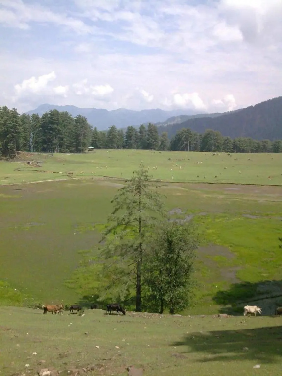 Vardaan Hotels - PatniTop