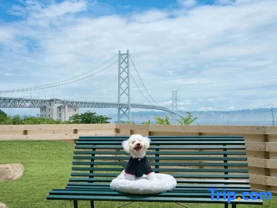 Awai Dog Stay
