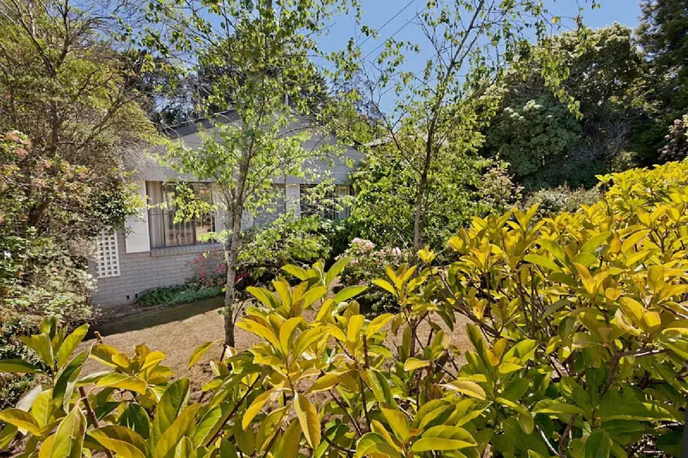 Leura Bungalow