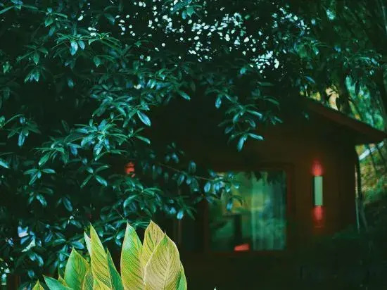 Changsha Nanting Shiguang Homestay