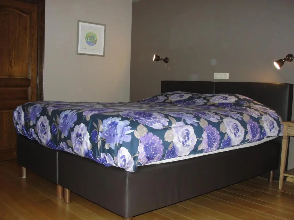 B&B Hedera