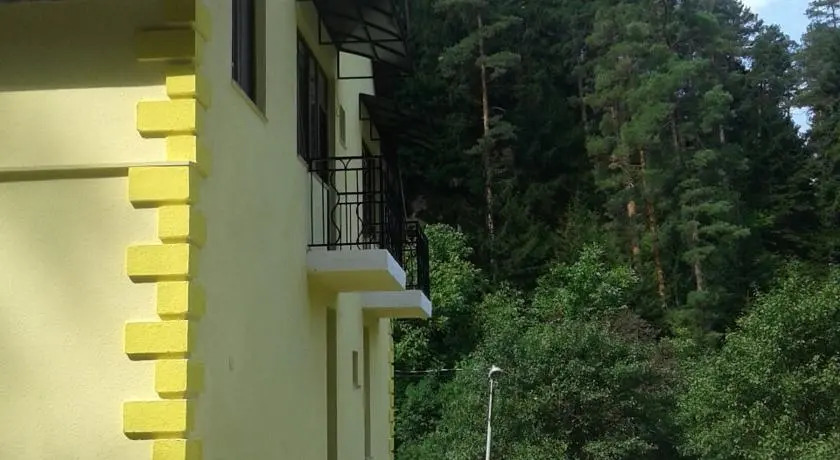 Guest House on Grigol Xandzteli
