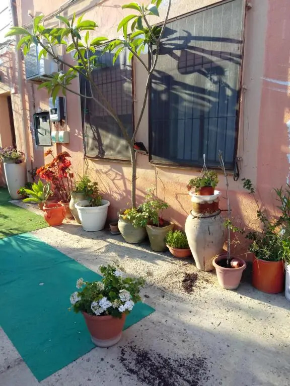 B B Casa Vacanze Il Pino Di Pino