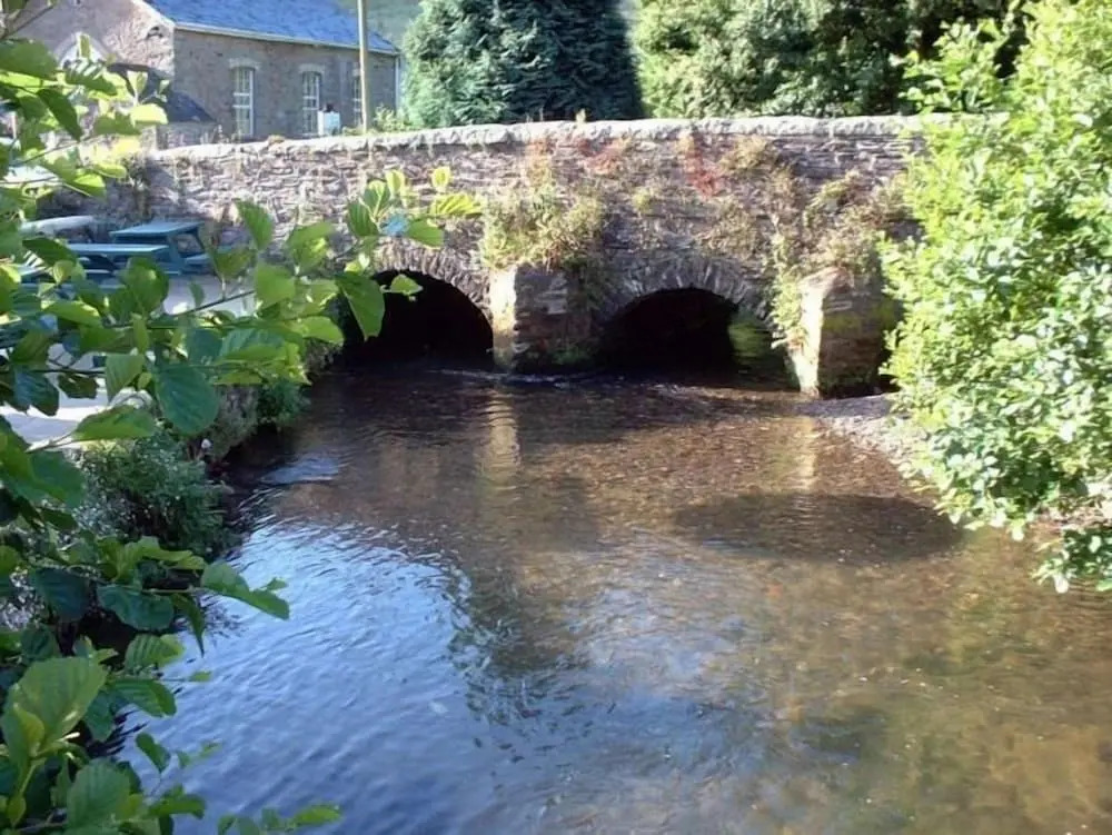 The Copley Arms