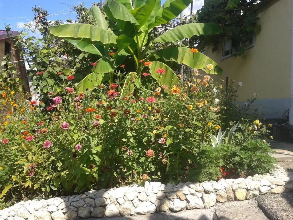 Guesthouse on Kabardinskaya 139a