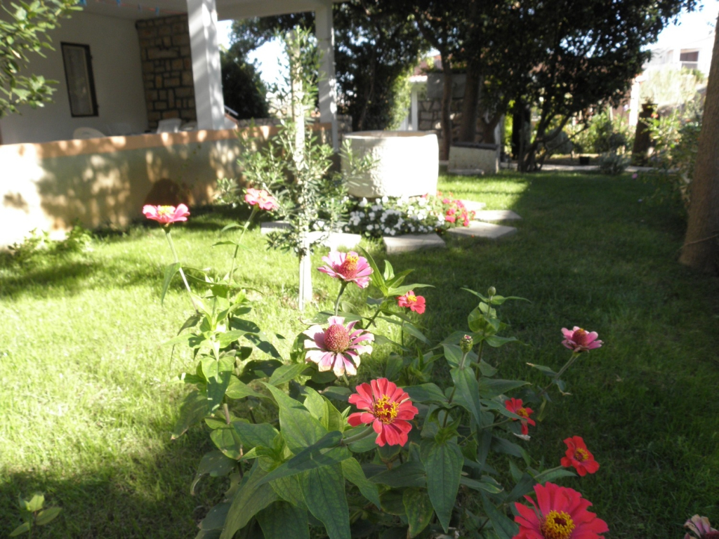 Apartment Ivo - with nice garden: A3 Pag, Island Pag