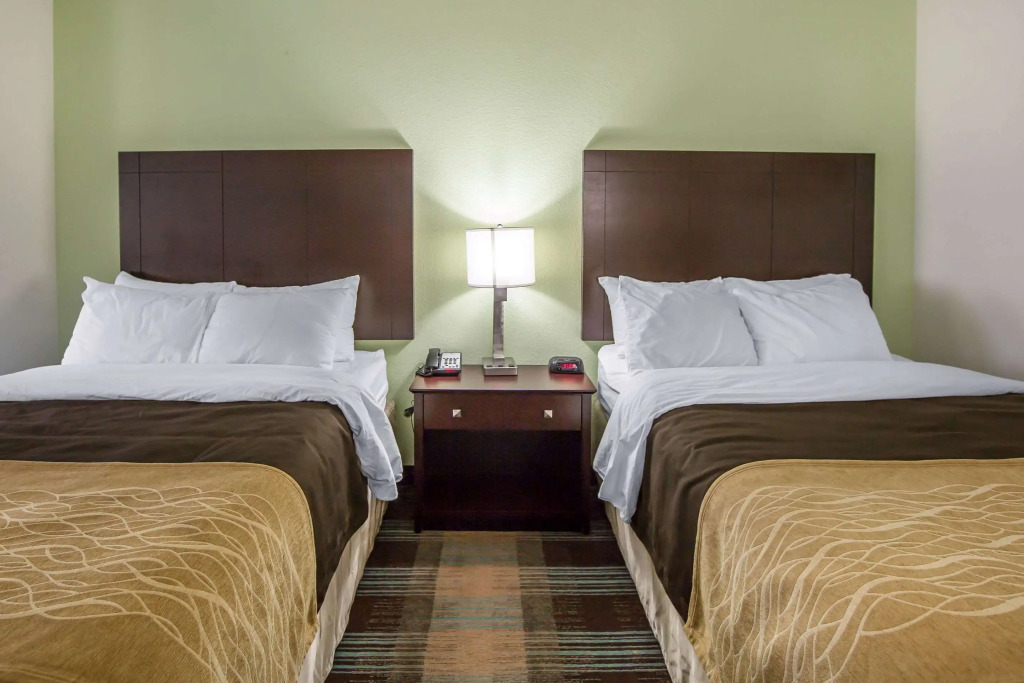 Comfort Inn Lexington South