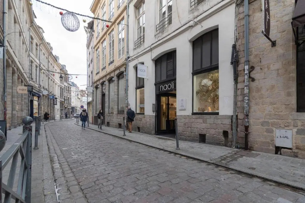 Lille Centre - Nice cozy and functional studio