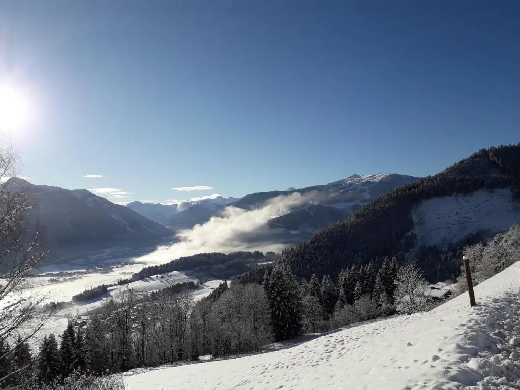 Pürstinghof