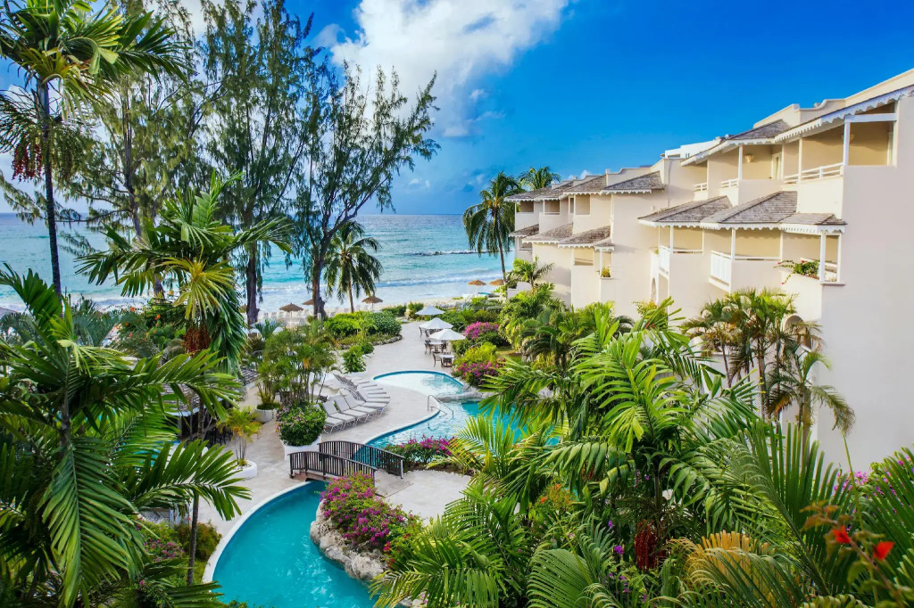 Bougainvillea Barbados