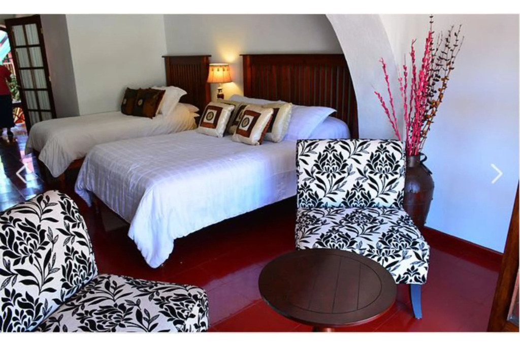 Collection O Casa Bella Hotel Boutique, Cabo San Lucas