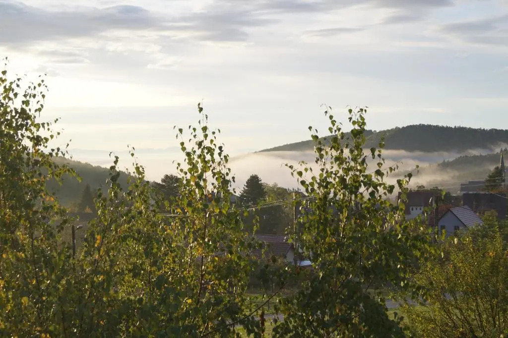 Gîtes du Taennchel