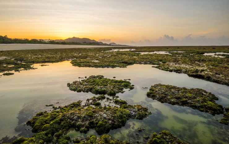 Tropical Beach Resort Sumbawa