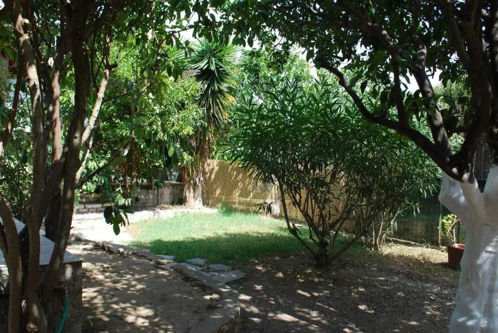 Studio Saini