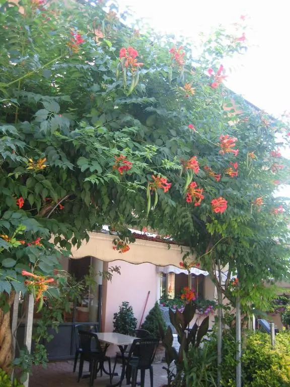 Albergo Ristorante Sterlina