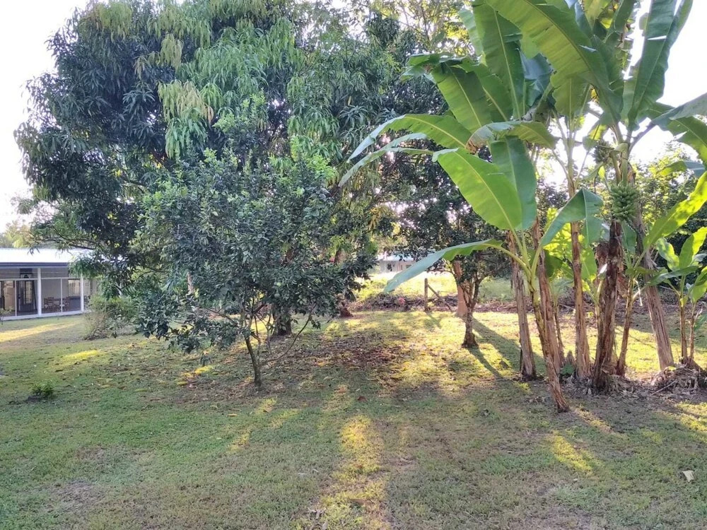 Casa Eva Ojochal
