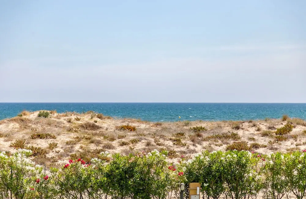 Travel Habitat Playa Oliva
