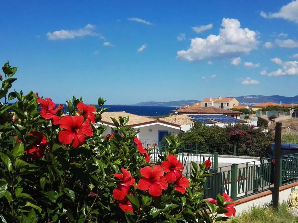 Sardamare Apartments Appartamenti La Ciaccia