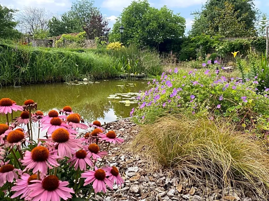 Chambres dhôtes Kayros