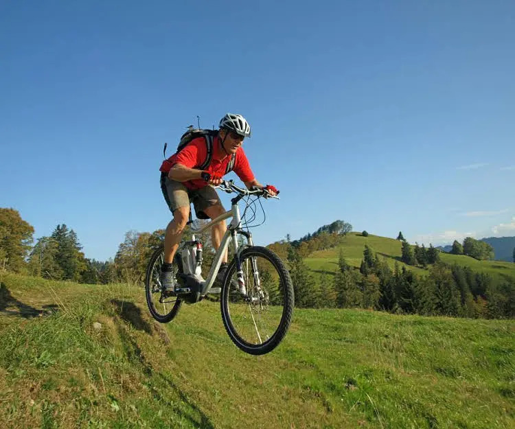 Vital-Hotel-Styria