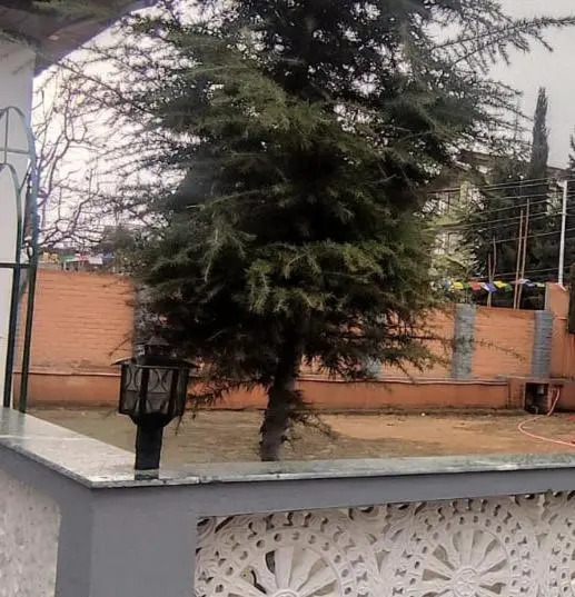 Hotel Silver Inn Srinagar