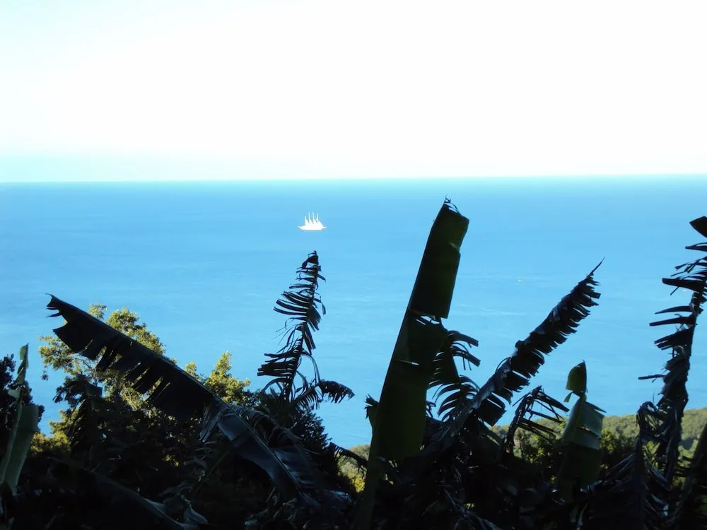 Guadeloupe-Paradisio