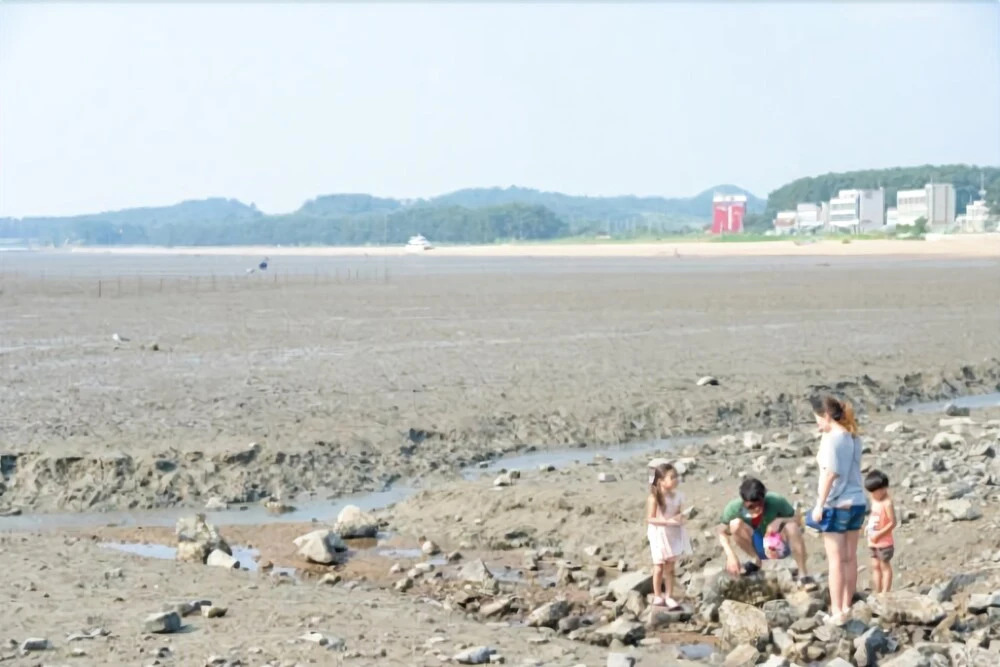 Hwaseong Natural Love Pension