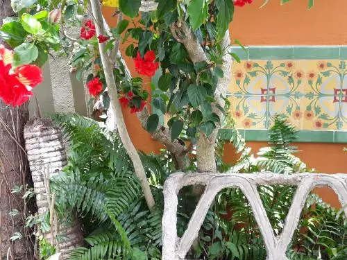 La Casa que Canta