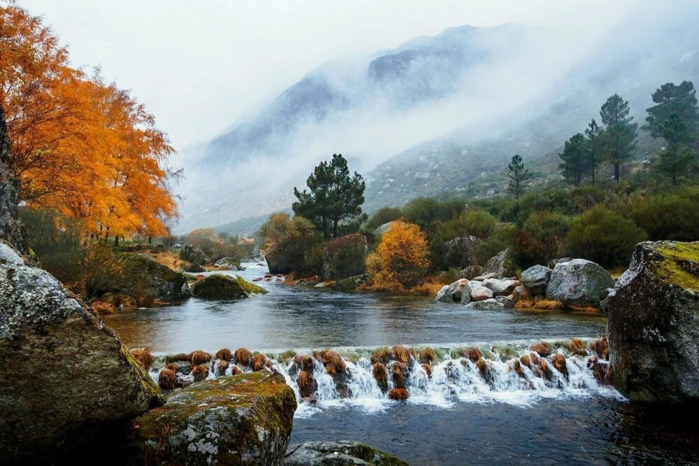 Fonte D Rosa - Belmonte