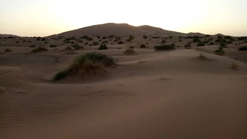 Quiet luxury desert camp