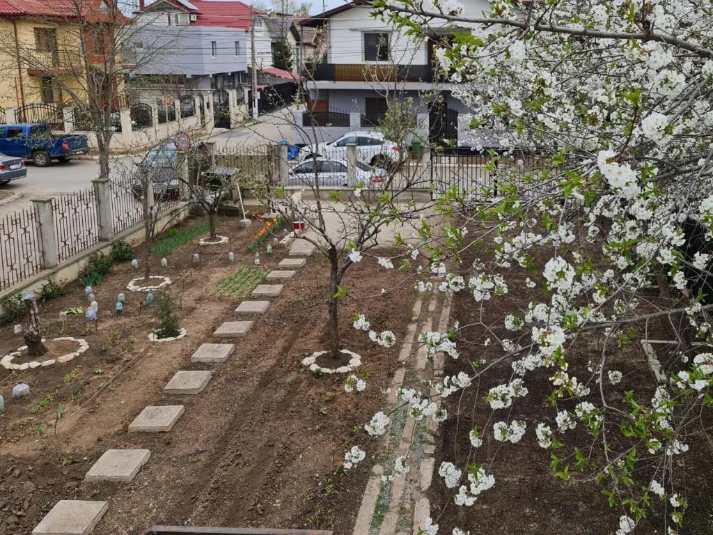 Casa 9 Mangalia