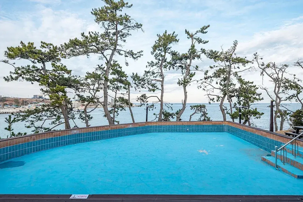 Pohang Pinewave Sea & Spa Pension