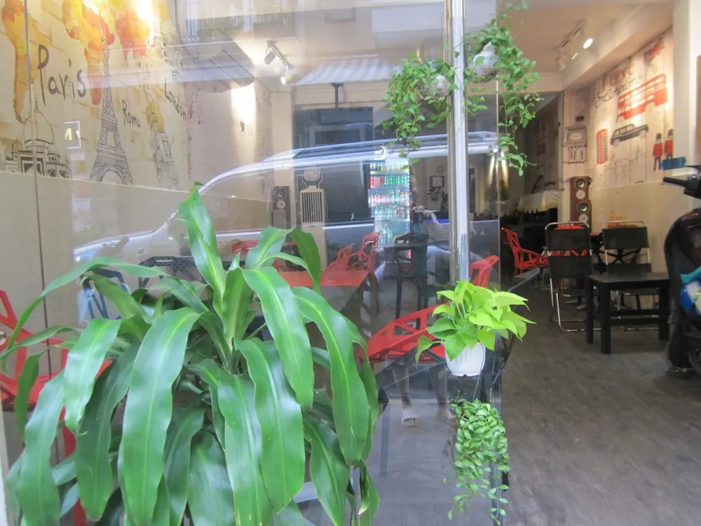 The Lily Hostel and Coffee