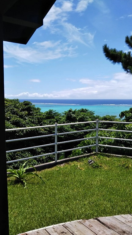 Sea Forest(Ishigakijima)