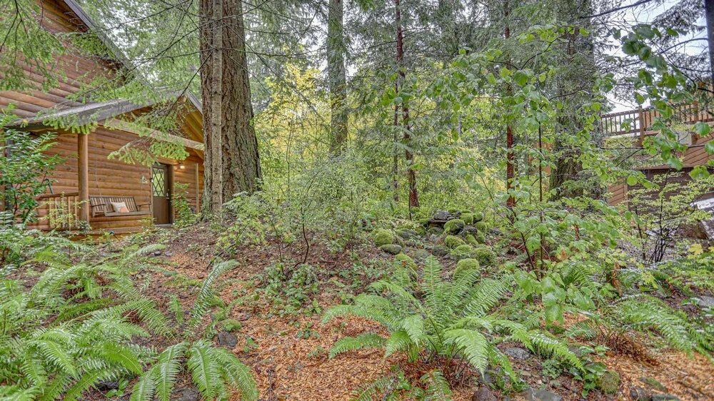 Owlpine Lodge
