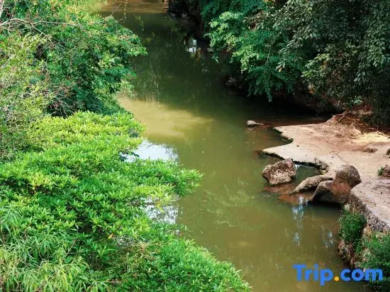 Xingyi Wanfenglin Wuq Homestay
