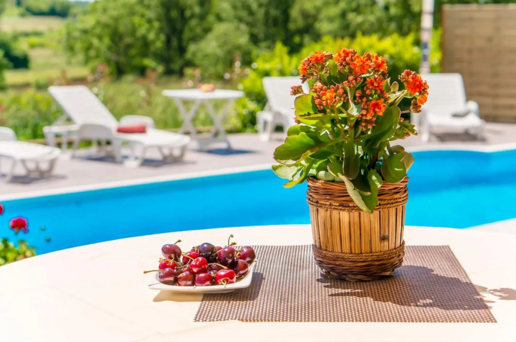 Marinko - With Pool - A1