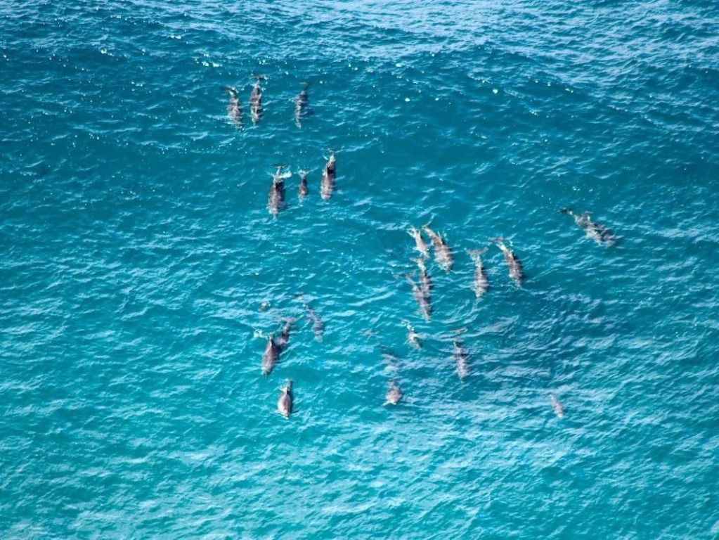 Aloha Byron Bay