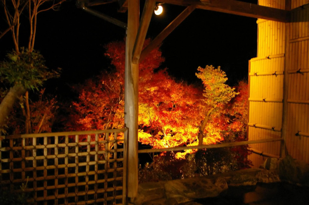Sawatari Onsen Miyataya Ryokan