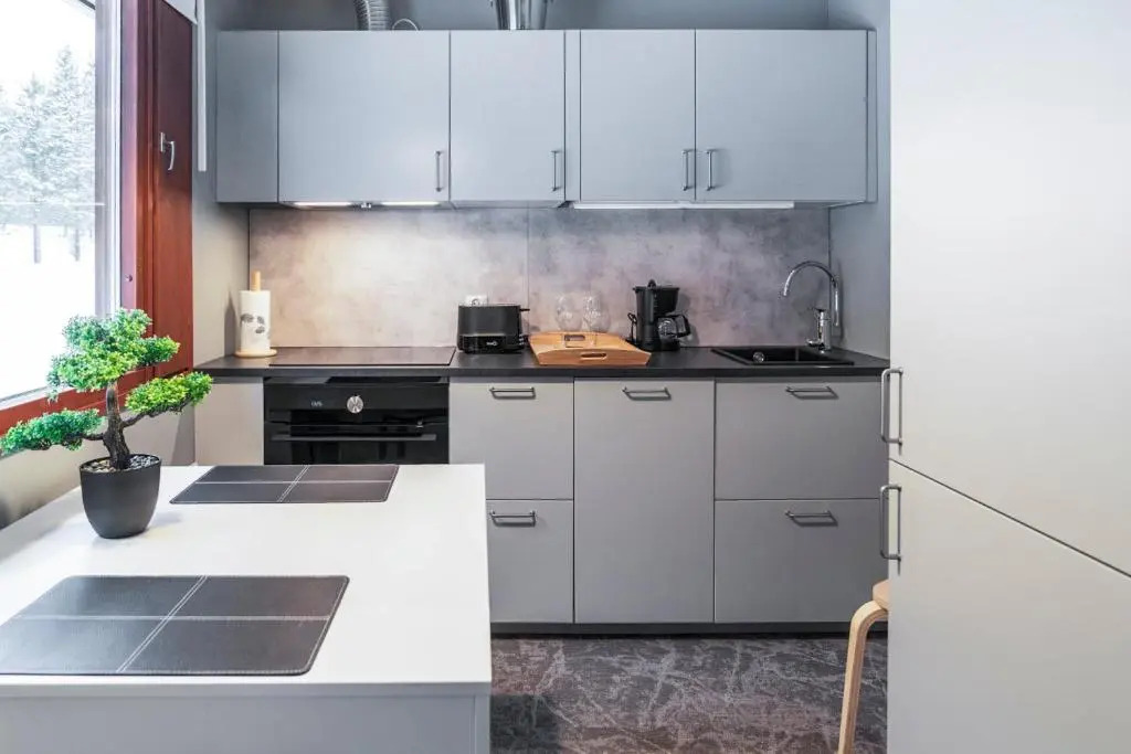 Usva Studio II Incl Washing machine and Wifi