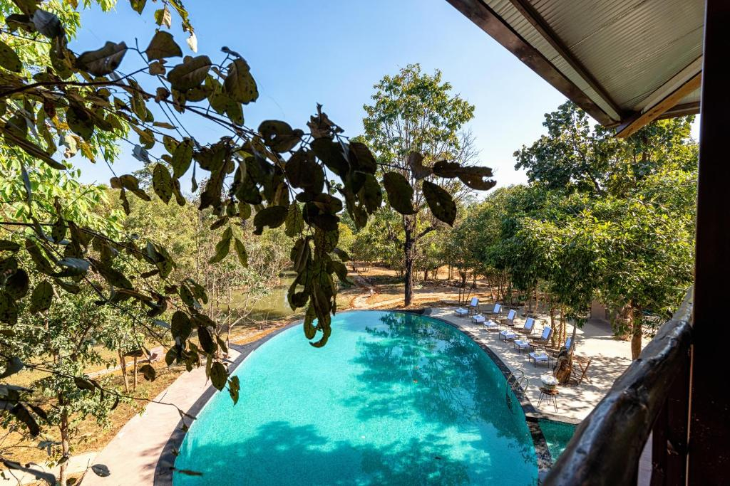 Kanha Jungle Camp
