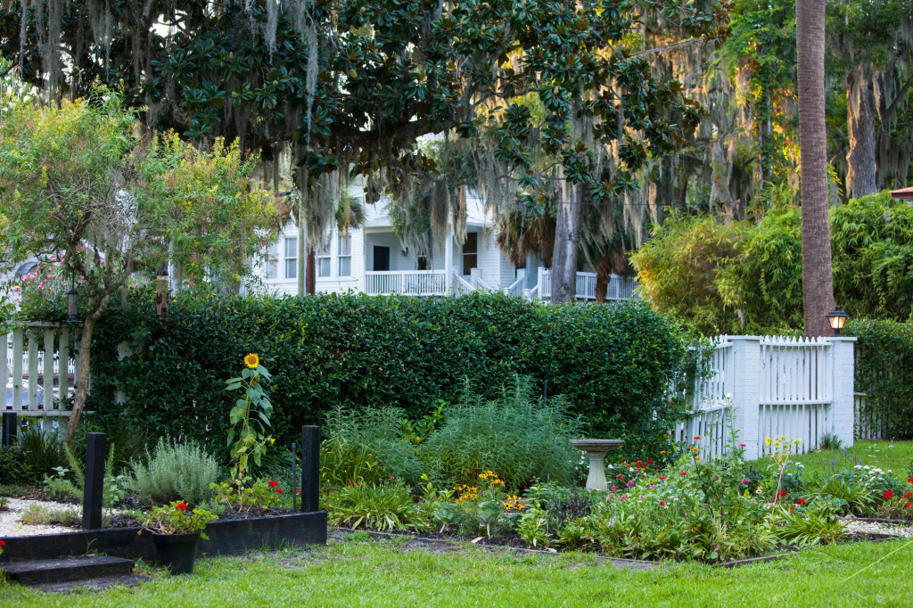 Rhett House