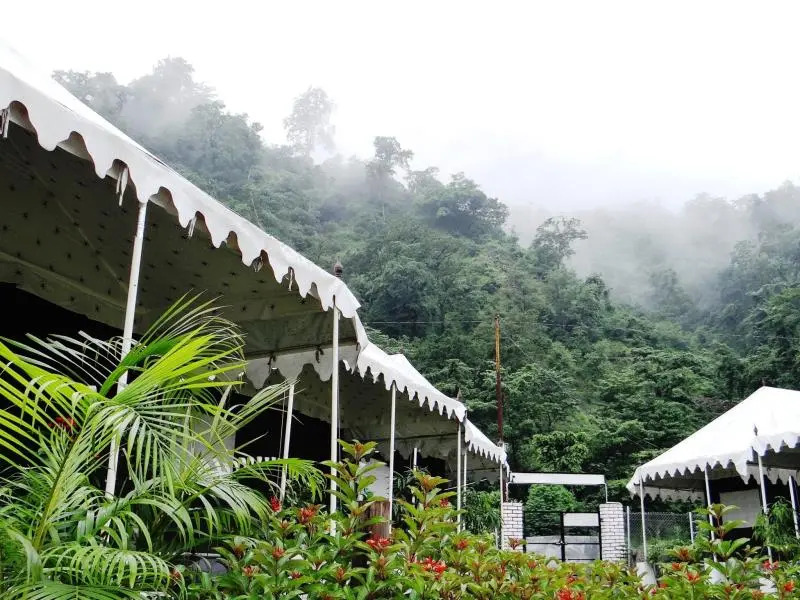 Camp Aqua Forest