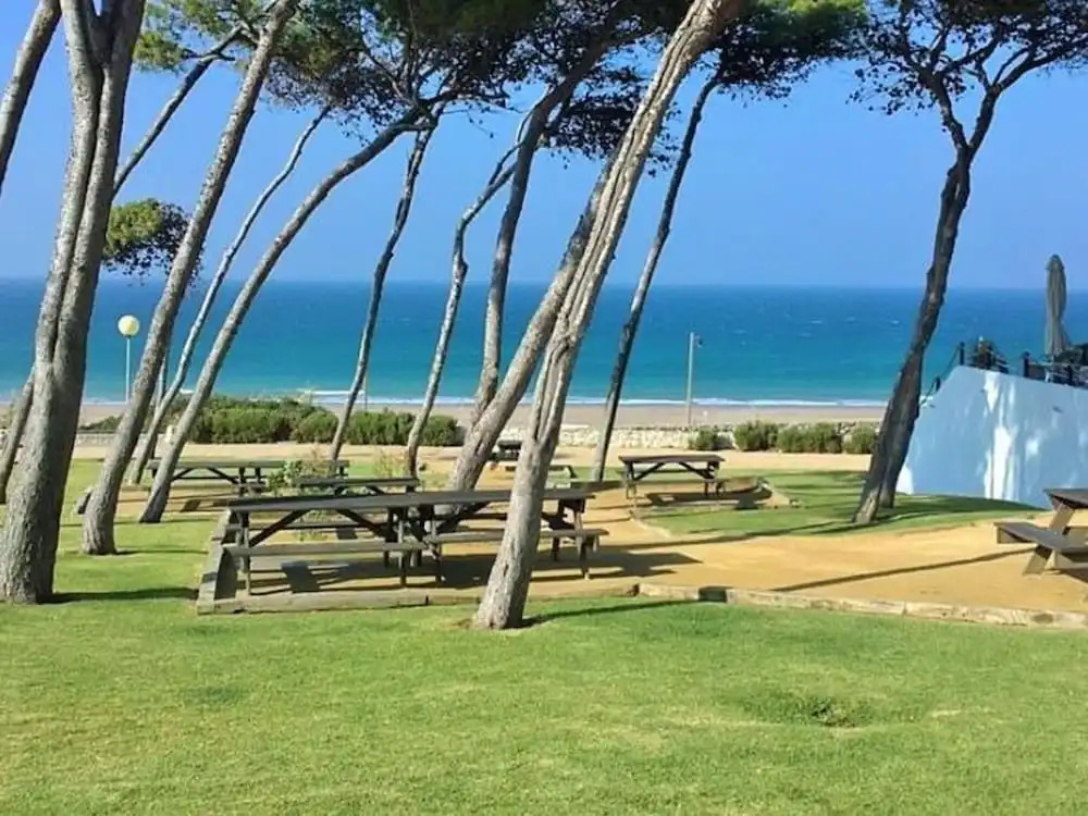 Rotonda III 25082 in Conil de la Frontera
