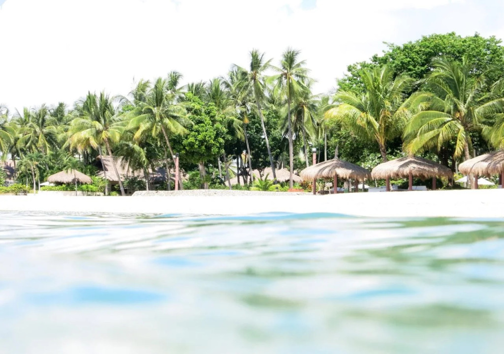 Pulchra - Philippines