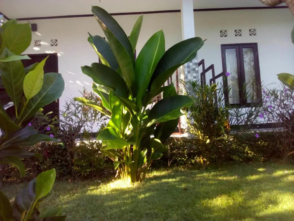 Ariata Arya Hostel