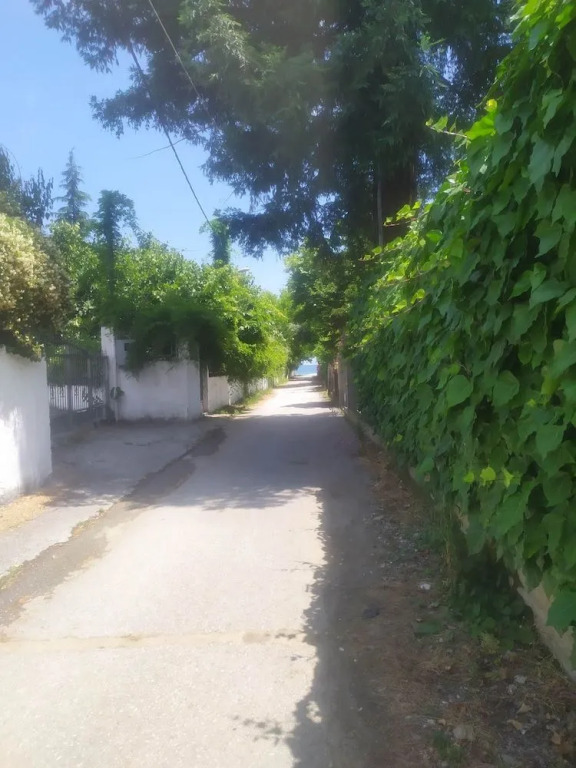 Villa Dimitris